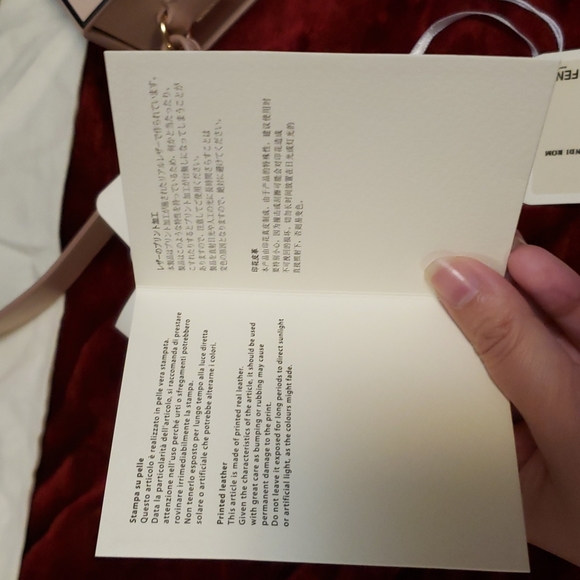 FENDI Bag Runway 2020-2021 Spring collection - vertical leather pink box bag - Picture 12 of 16